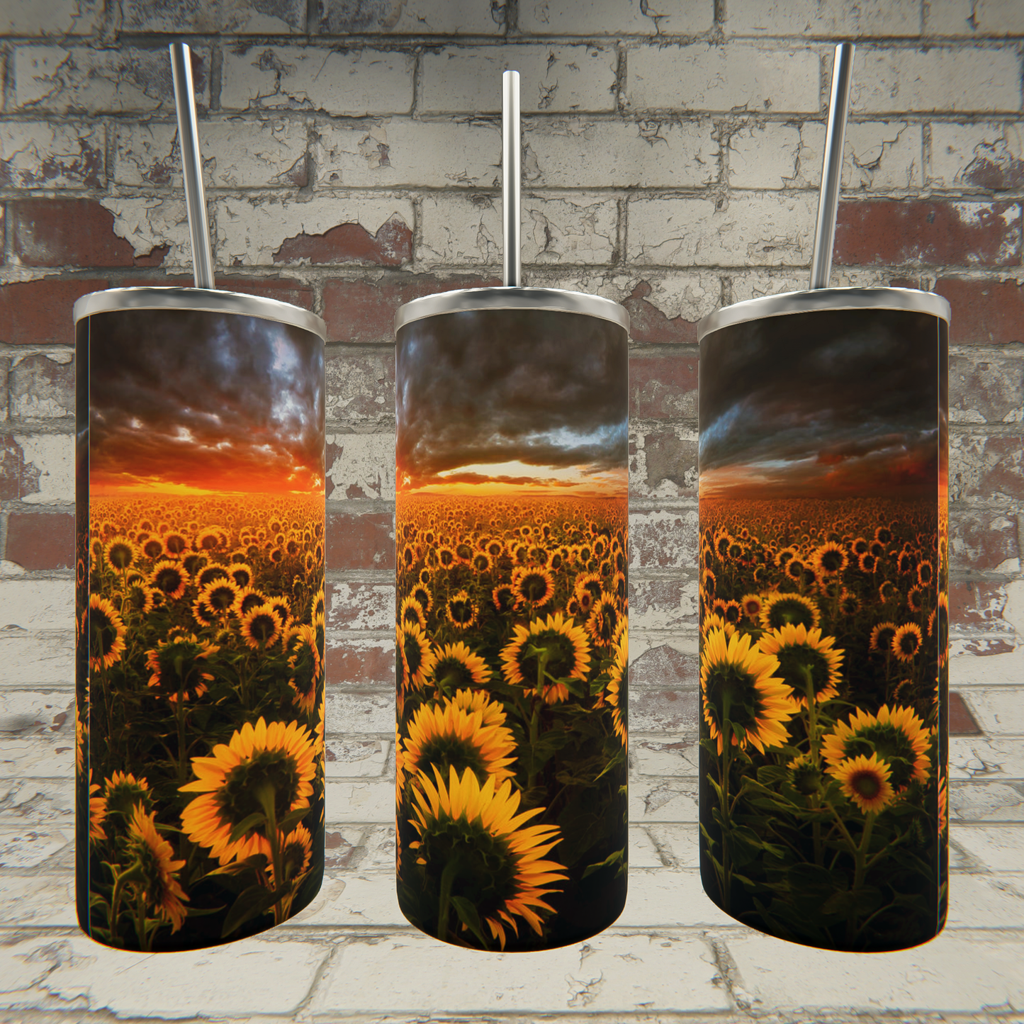 Sunflower red field 500-8