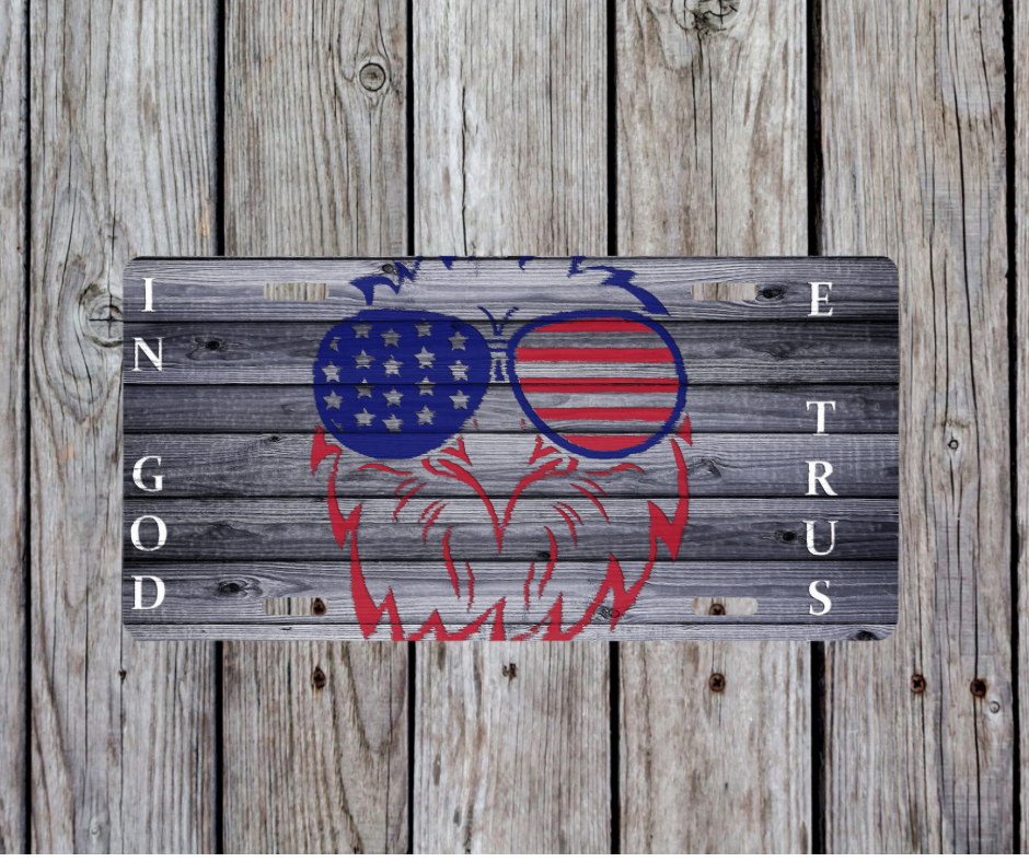 In God We Trust License Plate