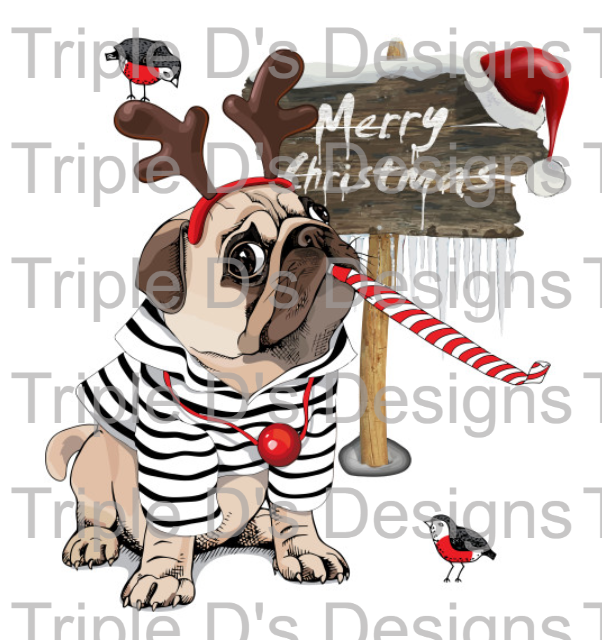Merry Christmas Pug