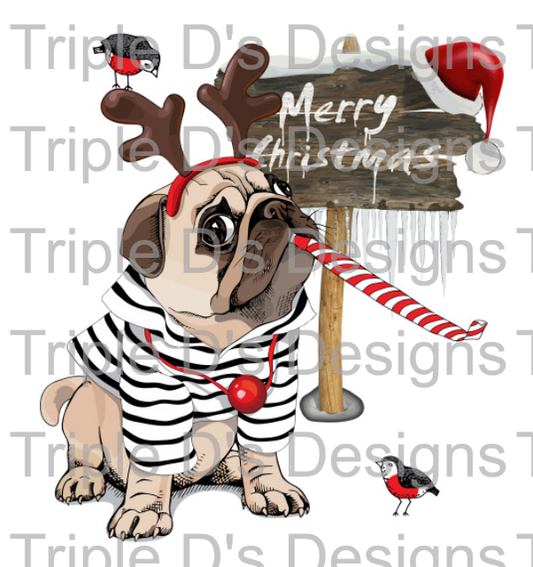 Merry Christmas Pug