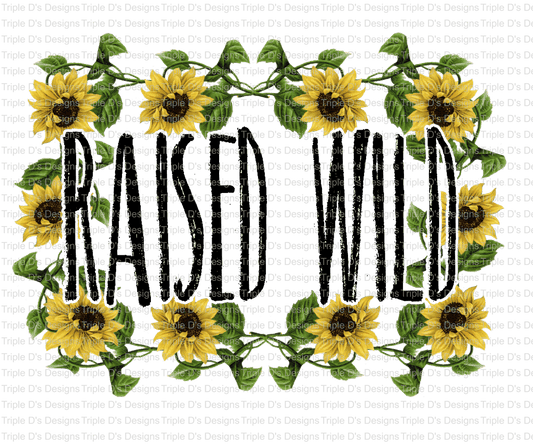 800